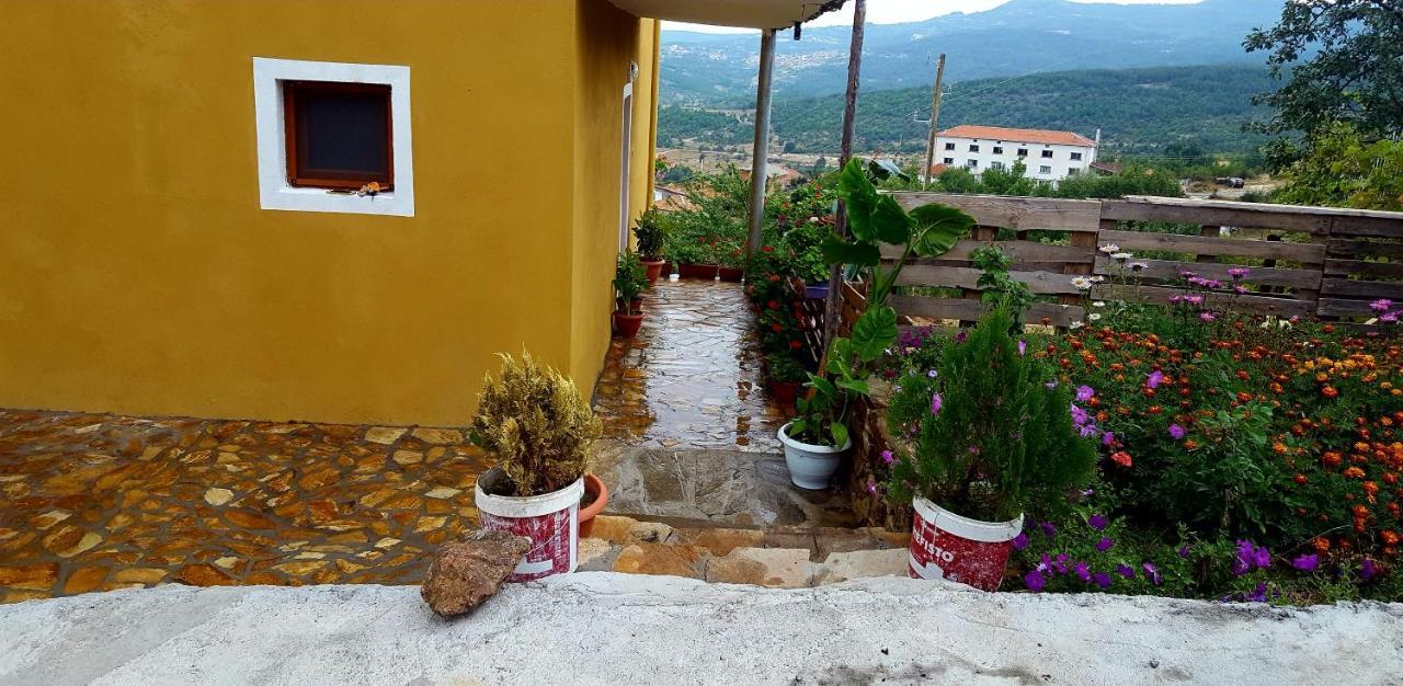 Guest House Agush Kribul Exterior photo